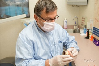 Dr. Lyalin providing dental care